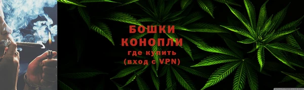 трава Абаза