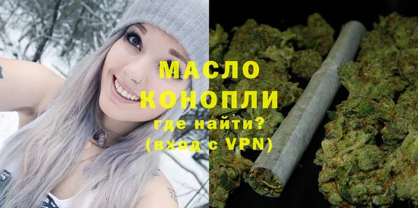 молекула духа Осташков