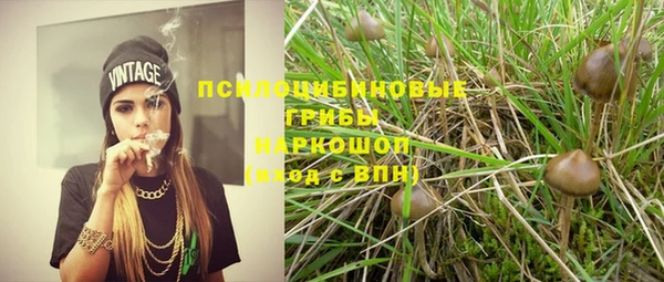 apvp Абинск