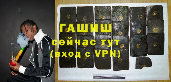 молекула духа Осташков