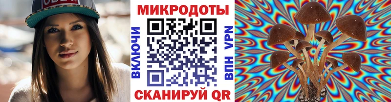 как найти   Зубцов  Галлюциногенные грибы Psilocybine cubensis 